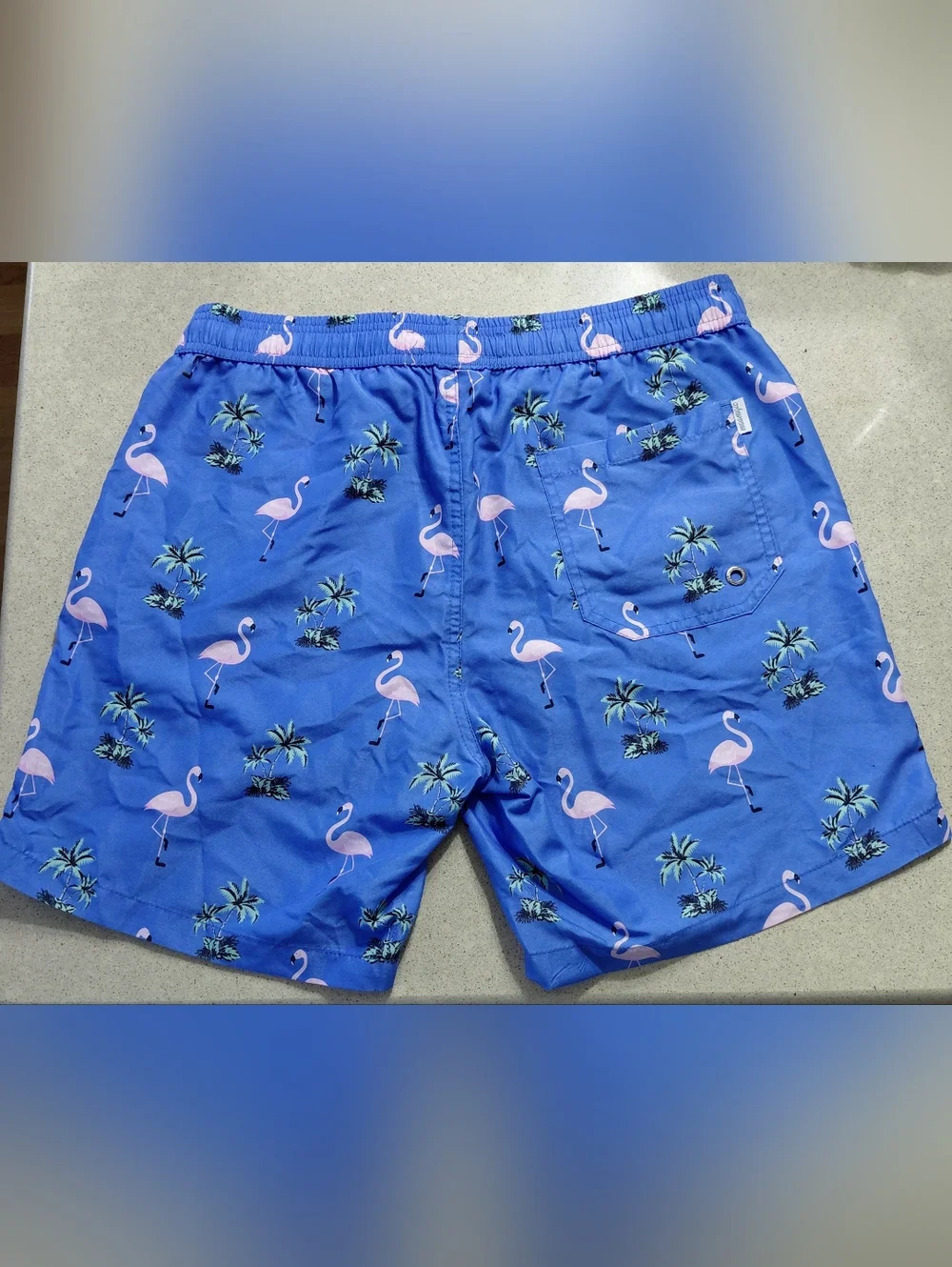 Flamingo Print Swim Trunks - Blue & Pink
